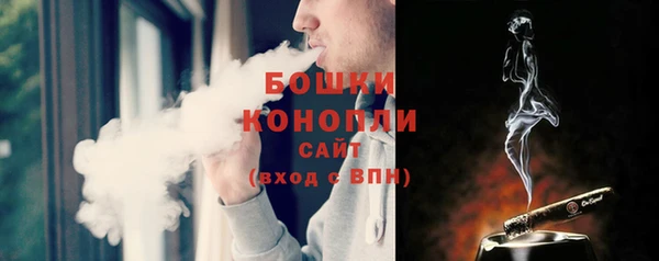 ALPHA PVP Тобольск