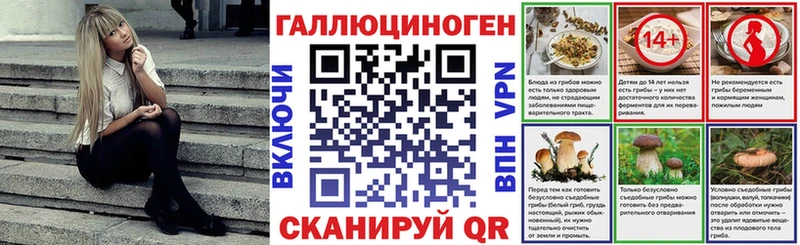 Галлюциногенные грибы GOLDEN TEACHER  Купить закладки  Володарск 